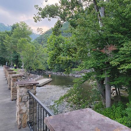 Bear Necessities, Luxury 5Bd Mtn Views, Hot Tub, Many Bear Sightings Villa Gatlinburg Buitenkant foto