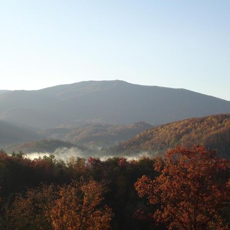 Bear Necessities, Luxury 5Bd Mtn Views, Hot Tub, Many Bear Sightings Villa Gatlinburg Buitenkant foto