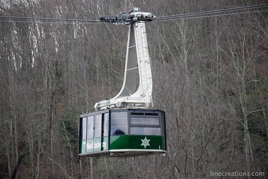 Bear Necessities, Luxury 5Bd Mtn Views, Hot Tub, Many Bear Sightings Villa Gatlinburg Buitenkant foto