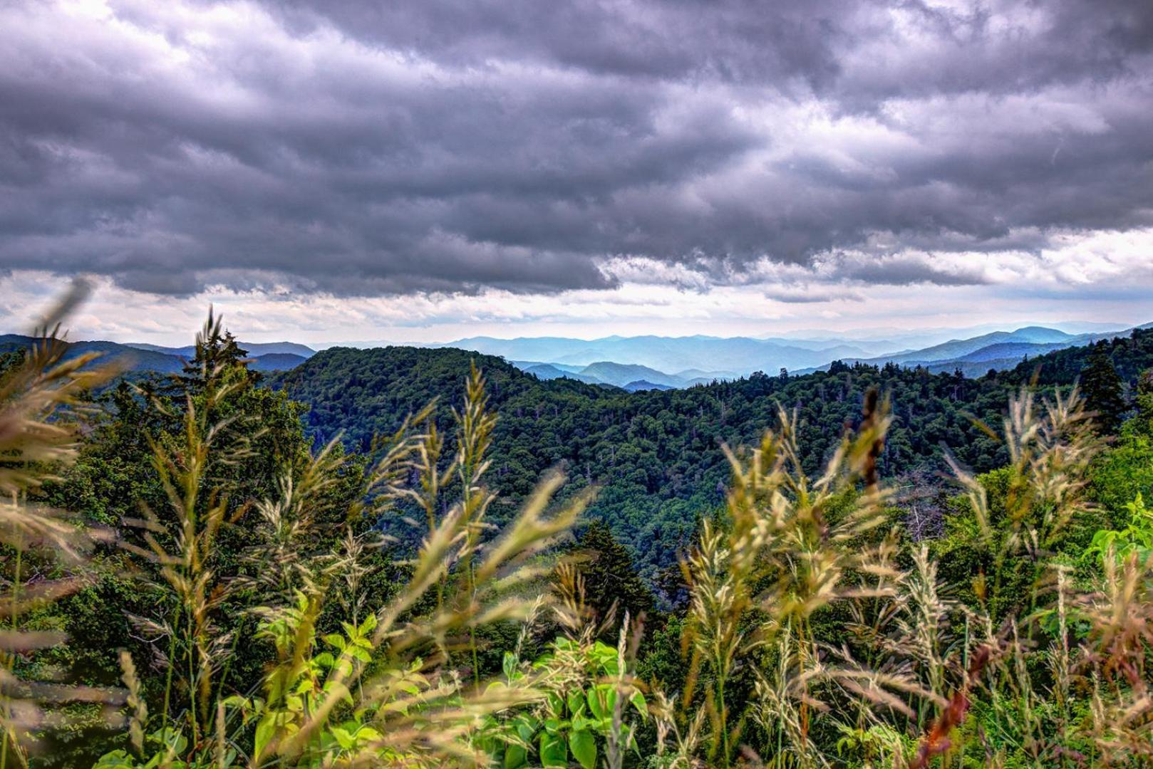 Bear Necessities, Luxury 5Bd Mtn Views, Hot Tub, Many Bear Sightings Villa Gatlinburg Buitenkant foto