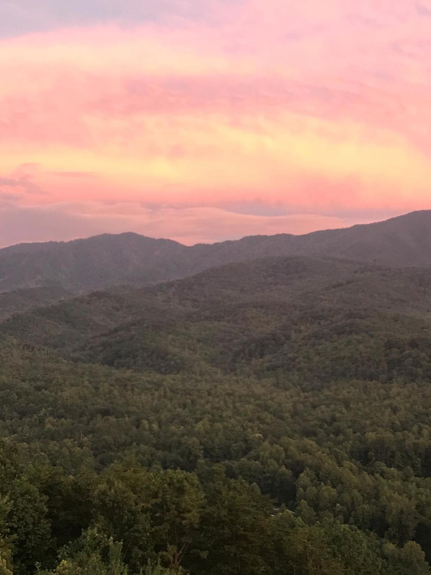 Bear Necessities, Luxury 5Bd Mtn Views, Hot Tub, Many Bear Sightings Villa Gatlinburg Buitenkant foto