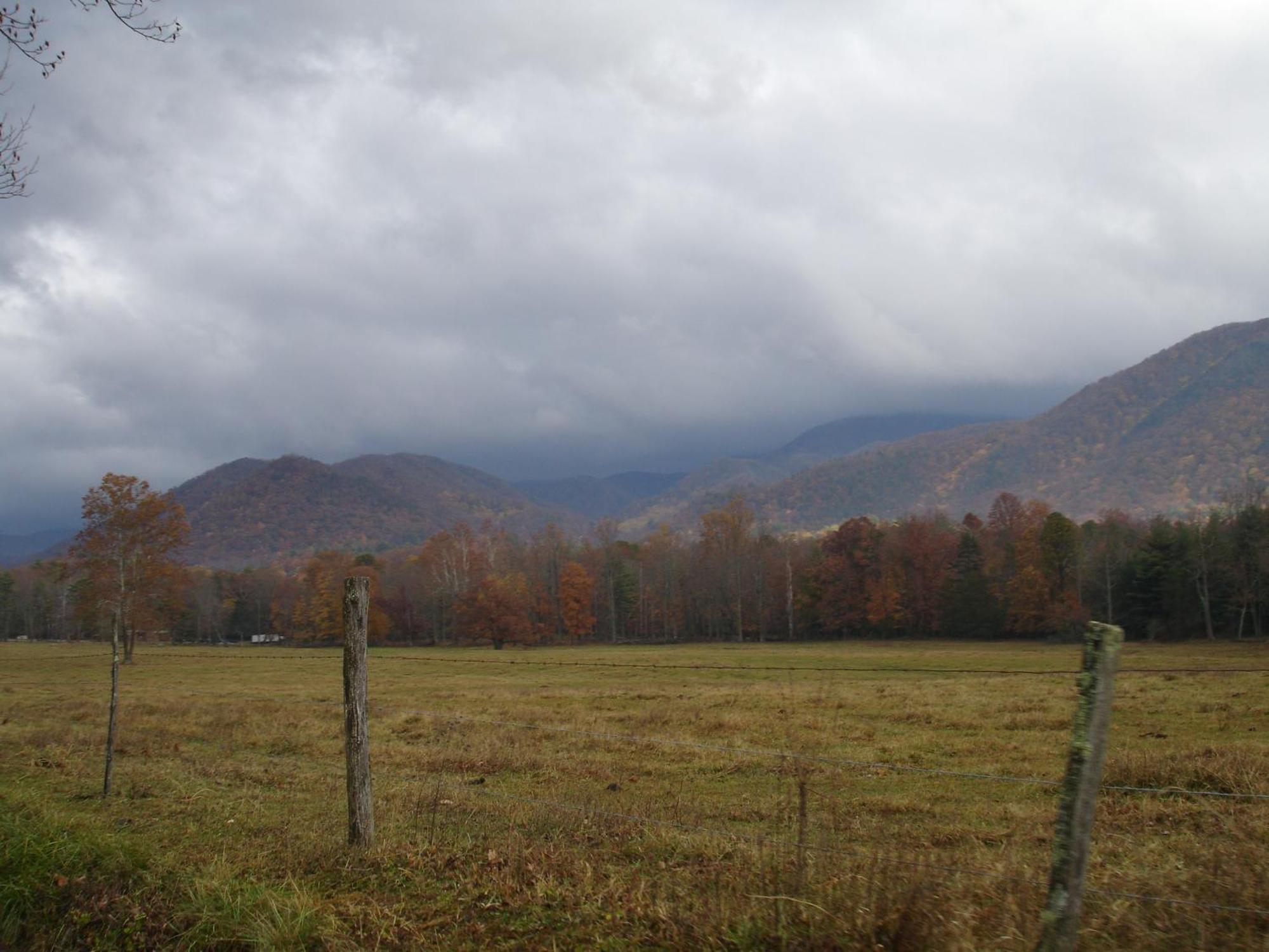 Bear Necessities, Luxury 5Bd Mtn Views, Hot Tub, Many Bear Sightings Villa Gatlinburg Buitenkant foto