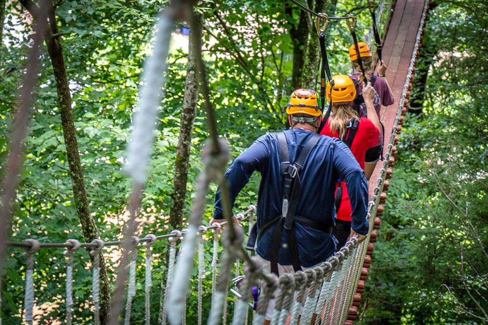 Bear Necessities, Luxury 5Bd Mtn Views, Hot Tub, Many Bear Sightings Villa Gatlinburg Buitenkant foto